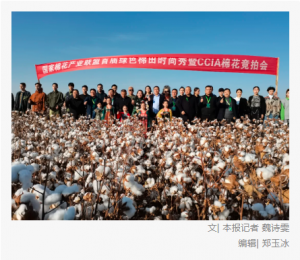 中国纺织报：国家棉花产业联盟举办首届绿色棉田秀暨CCIA高品质棉花竞拍大会